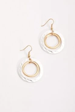 Silver And Gold Circle Earrings