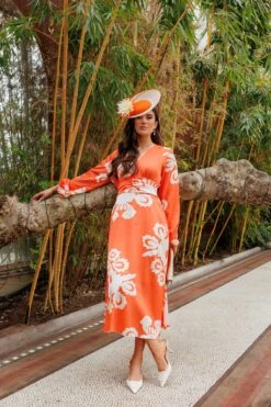 Alina Midi Dress In Orange Print