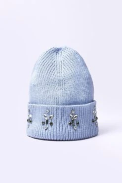 Embellished Beanie In Blue