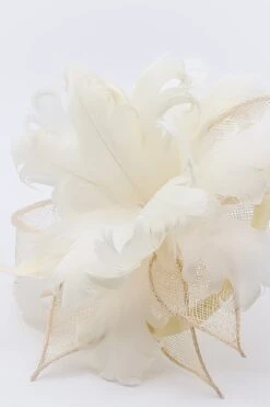 Feather And Flower Fascinator In Cream