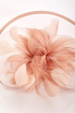 Large Blush Fascinator With Feather 13 Large Blush Fascinator With Feather -Fashion Clothing Accessories Store carraig donn lge fascinator w feather 578876