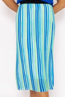 Midi Pleated Skirt In Blue Print -Fashion Clothing Accessories Store carraig donn midi pleated skirt in blue print 431885