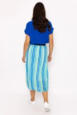 Midi Pleated Skirt In Blue Print -Fashion Clothing Accessories Store carraig donn midi pleated skirt in blue print 484597