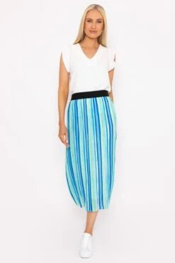 Midi Pleated Skirt In Blue Print -Fashion Clothing Accessories Store carraig donn midi pleated skirt in blue print 752828