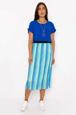 Midi Pleated Skirt In Blue Print -Fashion Clothing Accessories Store carraig donn midi pleated skirt in blue print 853947