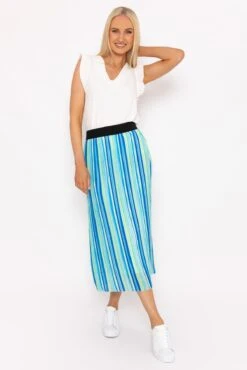 Midi Pleated Skirt In Blue Print