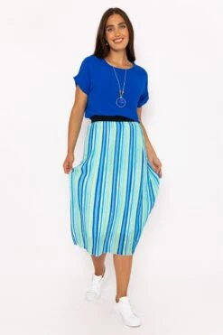 Midi Pleated Skirt In Blue Print -Fashion Clothing Accessories Store carraig donn midi pleated skirt in blue print 890760
