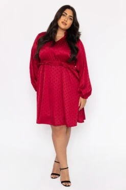 Nicola Dress In Red -Fashion Clothing Accessories Store carraig donn nicola dress in red 139696