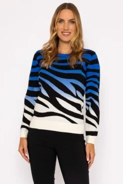 Ombre Zebra Knit In Blue