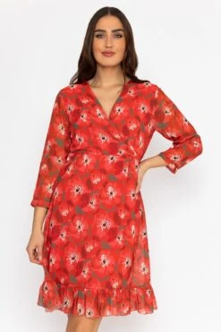 Roisin Knee Length Dress In Red Print