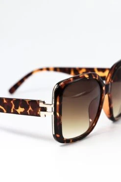 Square Sunglasses In Brown 12 Square Sunglasses In Brown -Fashion Clothing Accessories Store carraig donn square sunglasses in brown 490716