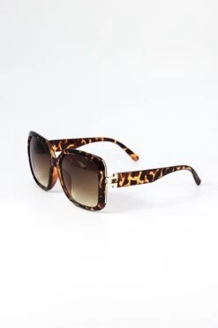Square Sunglasses In Brown