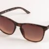 Tortoise Shell Frame Sunglasses