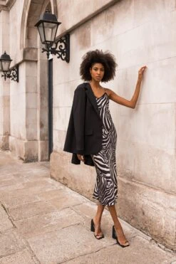 Valentina Midi Dress In Zebra Print -Fashion Clothing Accessories Store carraig donn valentina midi dress in zebra print 866797